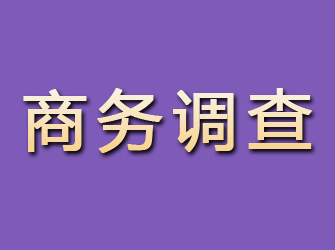 吉首商务调查